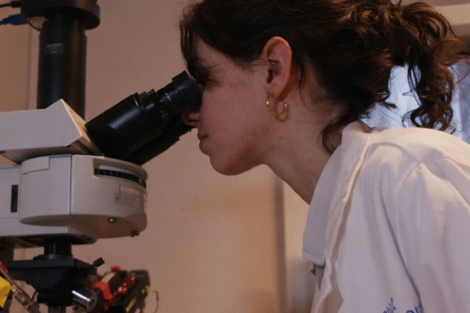 Réguler l'hyperexcitabilité neuronale : un espoir commun pour l'épilepsie et Alzheimer